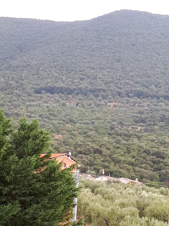 B&B Porta Del Gargano 圣马尔科因拉米斯 外观 照片