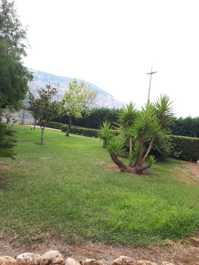 B&B Porta Del Gargano 圣马尔科因拉米斯 外观 照片