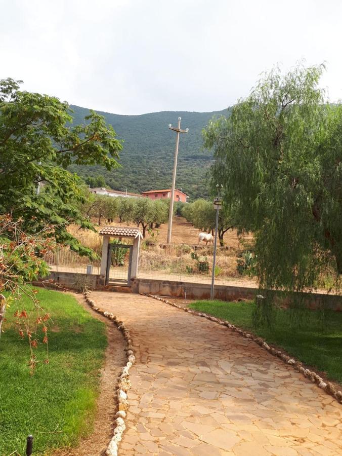 B&B Porta Del Gargano 圣马尔科因拉米斯 外观 照片